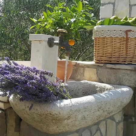 فيلة Luxury Luminosa *
