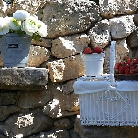 Vila Luxury Luminosa *