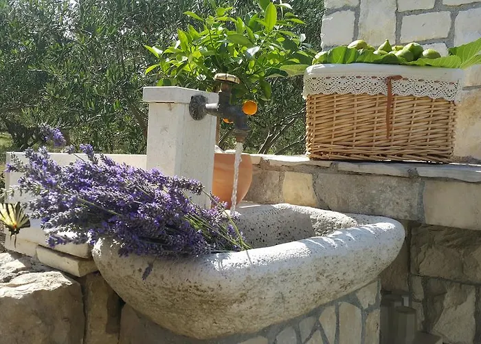 فيلة Luxury Luminosa *