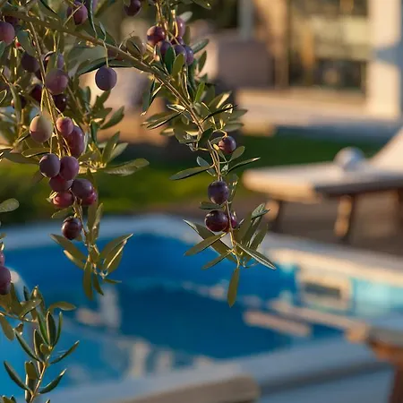 Luxury Luminosa Villa Spalato